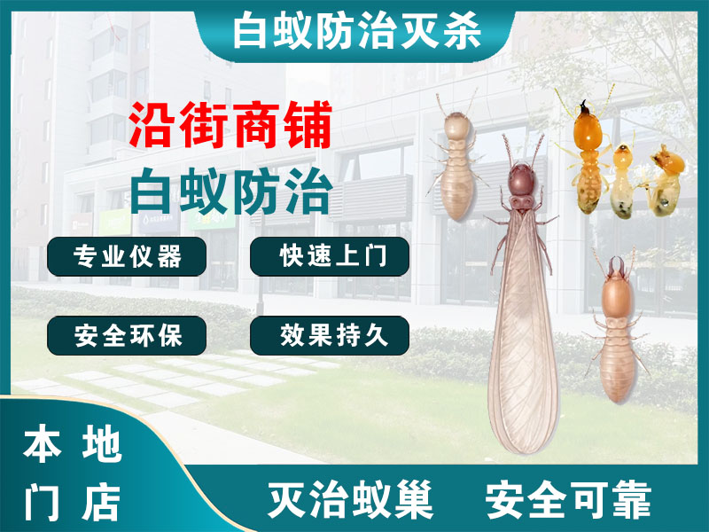 奉贤沿街商铺白蚁防治