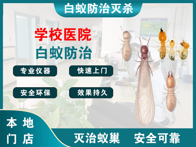 奉贤学校医院白蚁防治