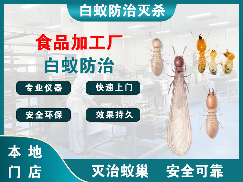 奉贤食品加工厂白蚁防治