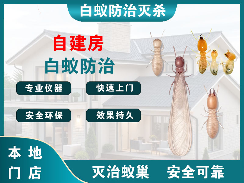奉贤自建房白蚁防治