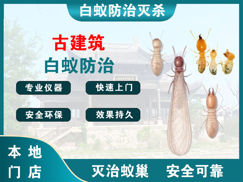 奉贤古建筑白蚁防治