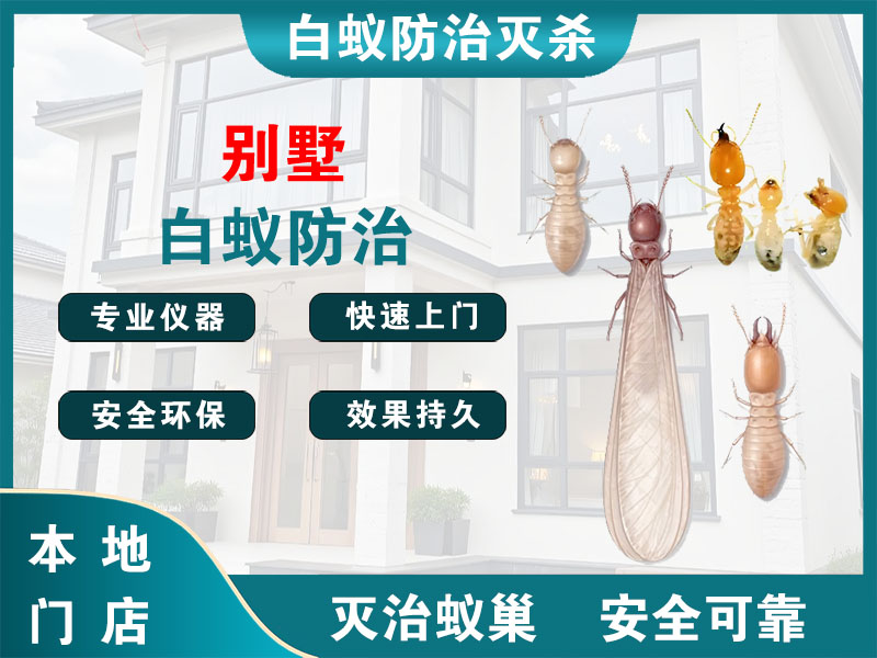 奉贤别墅白蚁防治