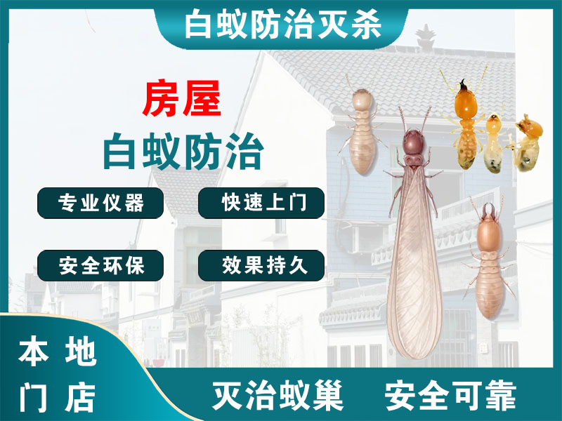 奉贤房屋白蚁防治